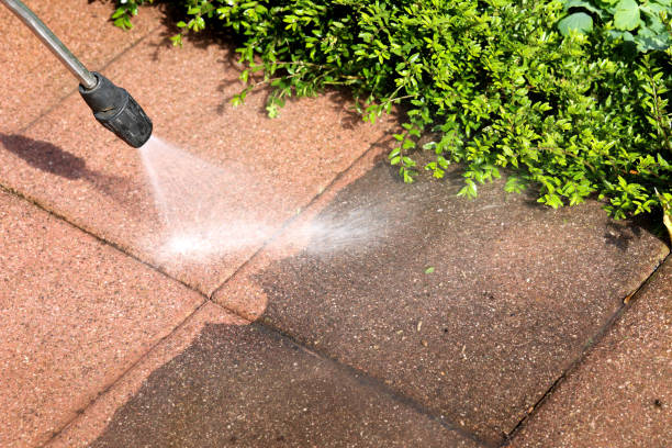 Best Exterior Home Cleaning  in Farmersburg, IN